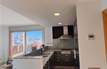 Large terrace luxury apartment - Photo 19