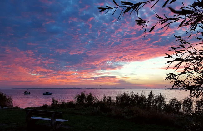 Spacious Apartment in Wieck auf dem Darb - Photo 28