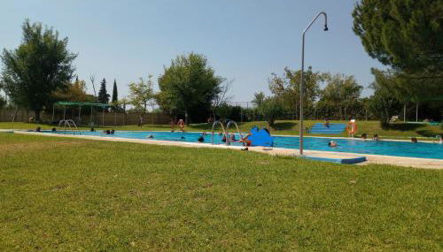 El laurel y el limonero. - Photo 2, Garden