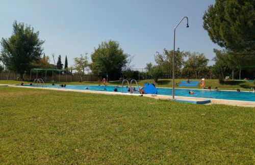 El laurel y el limonero. - Foto 2