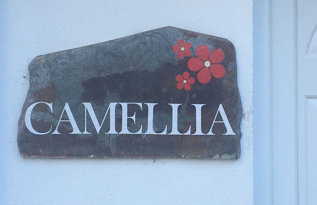 2 Bedroom Chalet - Praa Sands, Cornwall - Photo 39