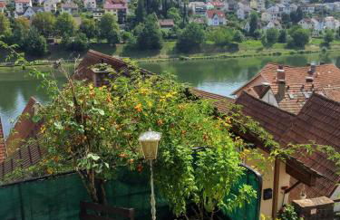 Natur und Neckarblick bei Heidelberg - Photo 63