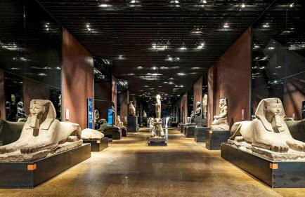 Appartamento con Ampia Terrazza - 10 minuti da Torino - Photo 22