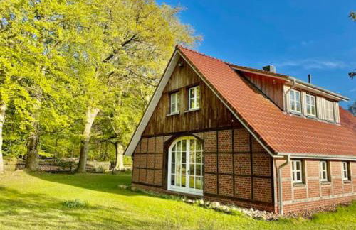 Urlaub mit Hund im Ferienhaus am Wingster Wald - Foto 1