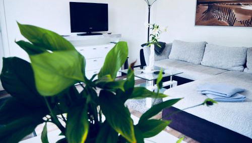 CasaSmart // Das Ferienhaus am Harz Nordhausen - Foto 3