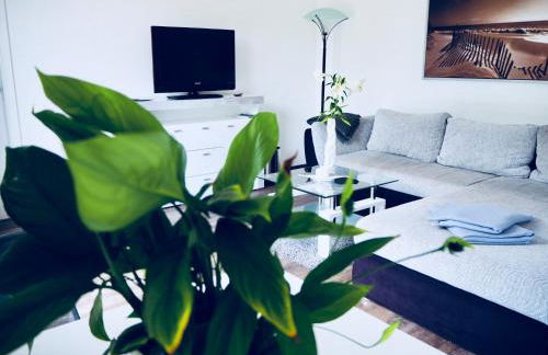 CasaSmart // Das Ferienhaus am Harz Nordhausen - Photo 3