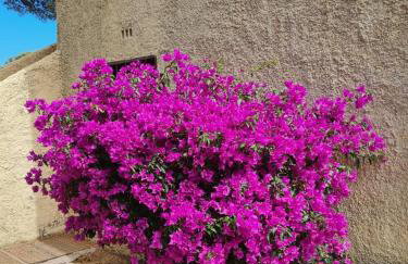 Cassetta 92 Marie-Pierre - Foto 44