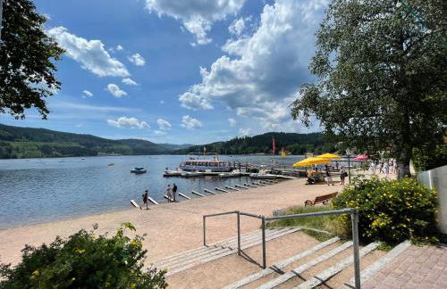 Ferienhaus Rose mit Sauna und HS-Card - Greschuk Apartments - Photo 21