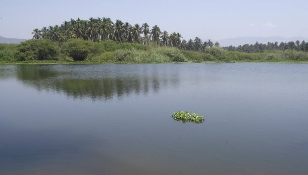 Coyuca Lagoon - Photo 3