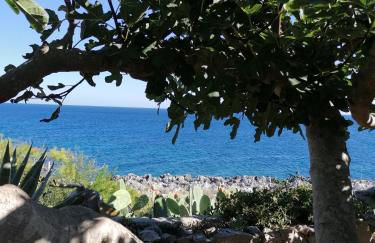 Villa Marigiosa Salento - Foto 37