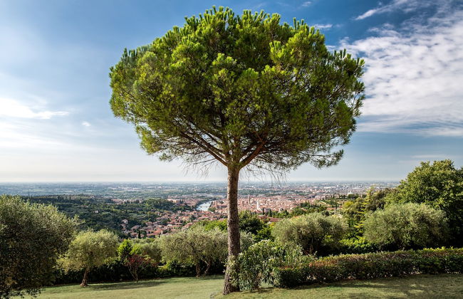 Corte San Mattia - Agriturismo in Verona - Foto 74