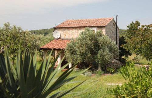 House Flamingo - Foto 1