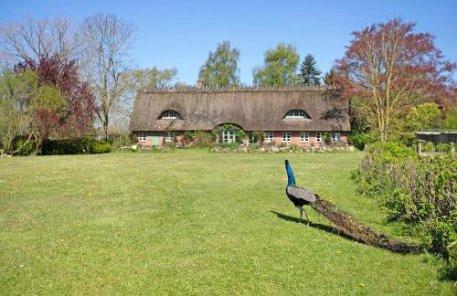 Ferienwohnung Galerie unterm Reet - Foto 28