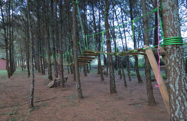 Viña Real Cabañas Rotamundos - Foto 40