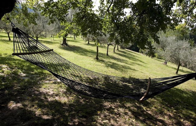 Verdidea - Ovello - Foto 31