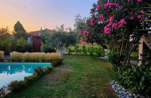 Berries Luxury Apartments - Foto 58