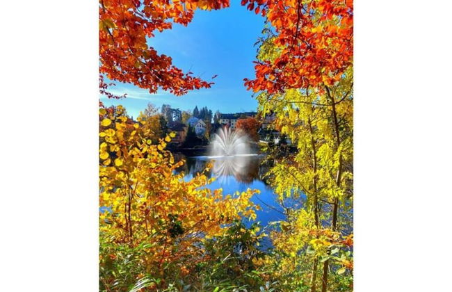 Classy Apartment in Bad Sachsa - Foto 16