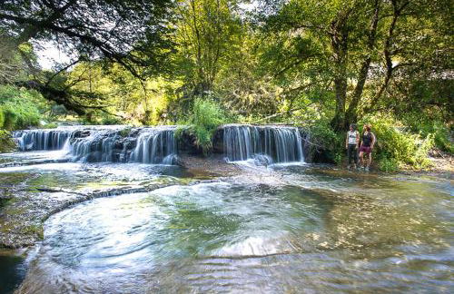 "Le Petit Paradis" au Centre Ville d'Oyonnax - Foto 71