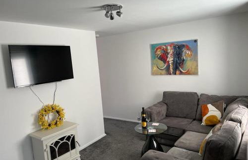 Buckshaw Snoozy - Foto 4