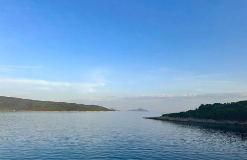 Restia House - Foto 33