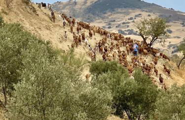 Finca El Sueño Andaluz - Foto 43