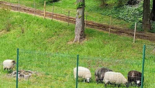 Appart luxueux 3+1 pcs avec jardin à 3 km de Paris - Foto 3