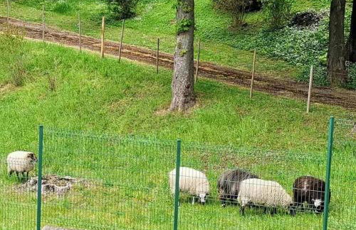 Appart luxueux 3+1 pcs avec jardin à 3 km de Paris - Foto 3