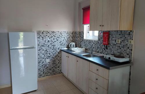 Canditas Studios - Photo 5