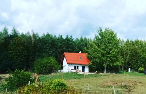 Siedlisko Pili Pili - Foto 16