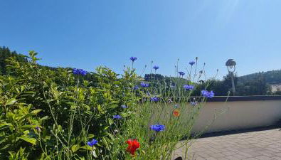 Ferienhaus Romy - Photo 5, Garden, Garden view