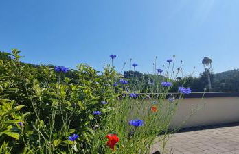 Ferienhaus Romy - Photo 6