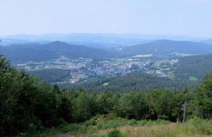 Ferienwohnungen Jonuscheit - Foto 11