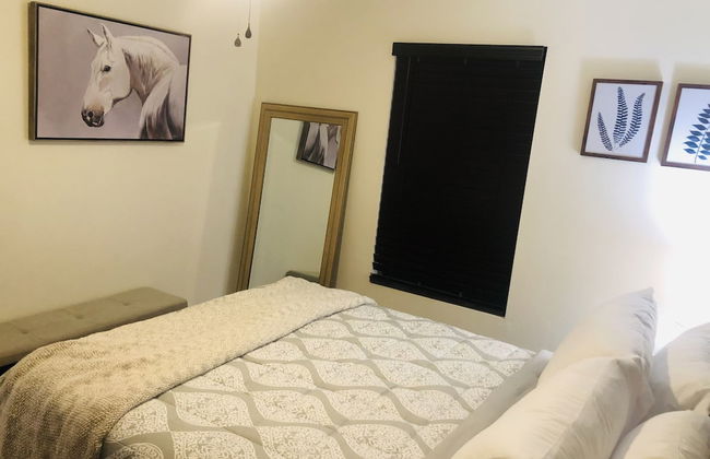 Eagle Pass Condo Rentals - Photo 4