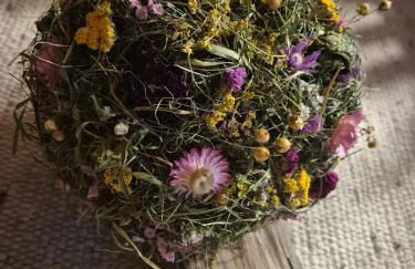 Seeberhof - Urlaub am Bauernhof - Foto 50