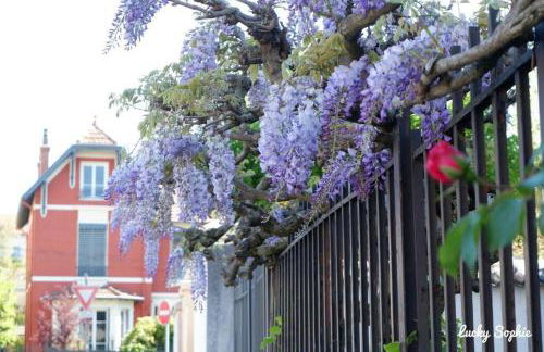 T3 rénové 10min gare Part dieu - Quartier typique - Foto 13