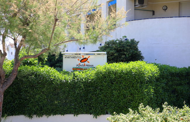 Alea Rentals - Punta Prima - Photo 31