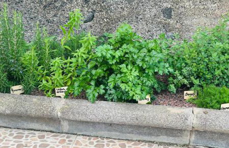 Agrotur Fenix - Foto 37