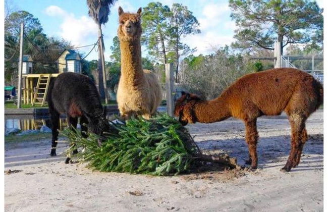 Crystal Shores West Condos by Hosteeva - Foto 47