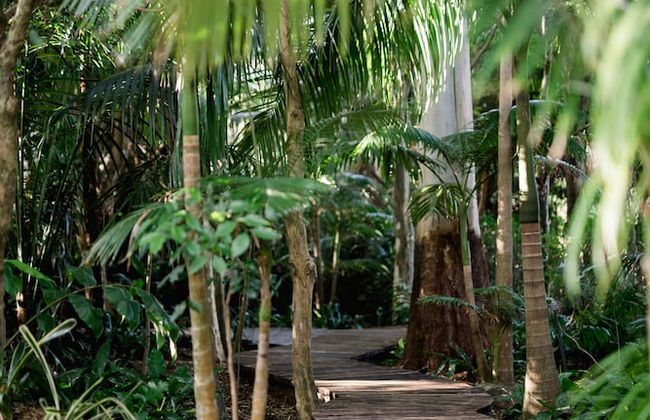 Shambala Estate - Photo 24