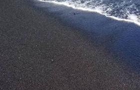 Ohana Beach Retreat at the Surf and Racquet Club - Foto 64