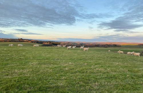 2 Bed in Ventnor oc-87188 - Foto 47