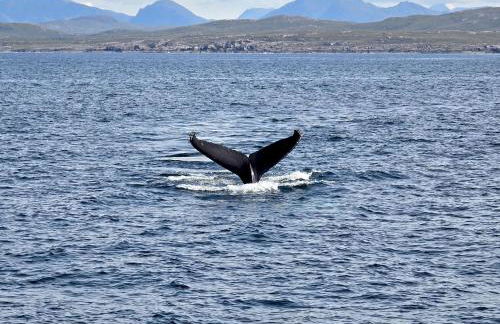 House - Sleeps 8 - Pets Ok - Parking - Foto 22