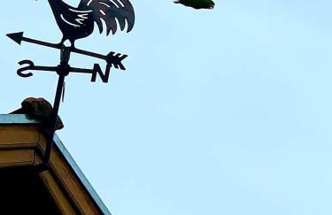 Chácara Santo Antonio - Foto 36