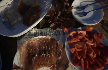 Forest Paradise - Foto 56