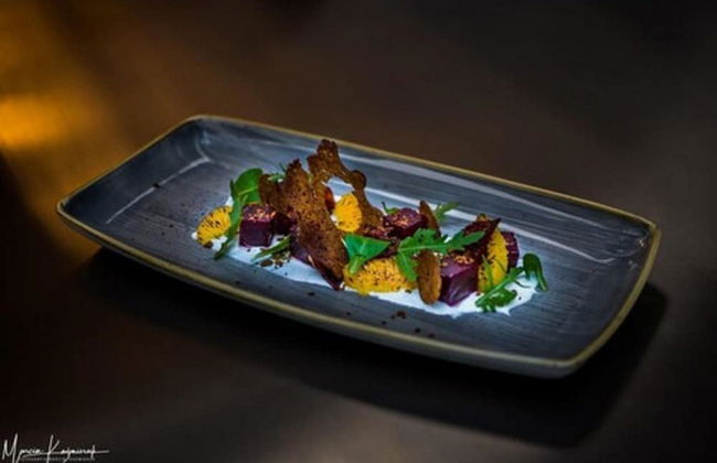 Norweska Dolina Luxury Resort - Foto 45