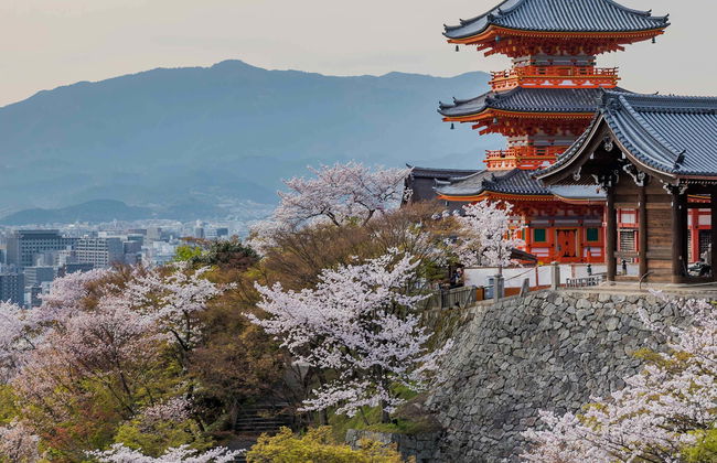 Escursione a Kyoto - Foto 1