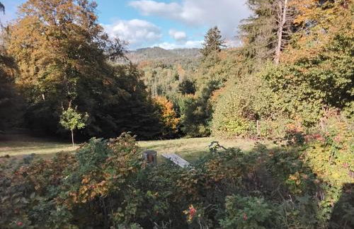 Hochwald Balkon - Foto 44