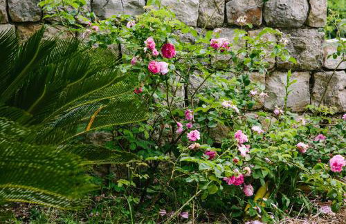 Dubravka apartmani - Foto 16