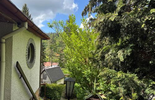 Waldhaus zur Kleinbahn - Foto 3