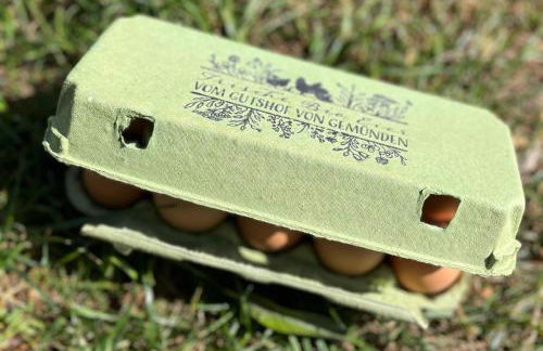Gutshof von Gemünden Ferienwohnung 1 - Foto 52